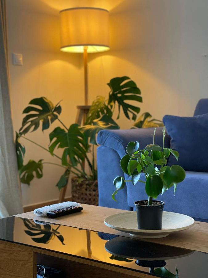Cosy Apartment With Sea View Close To The Beach นิเกียนา ภายนอก รูปภาพ