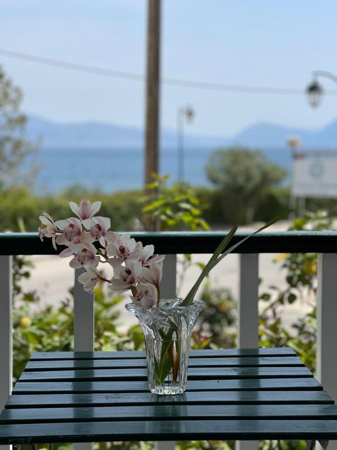 Cosy Apartment With Sea View Close To The Beach นิเกียนา ภายนอก รูปภาพ